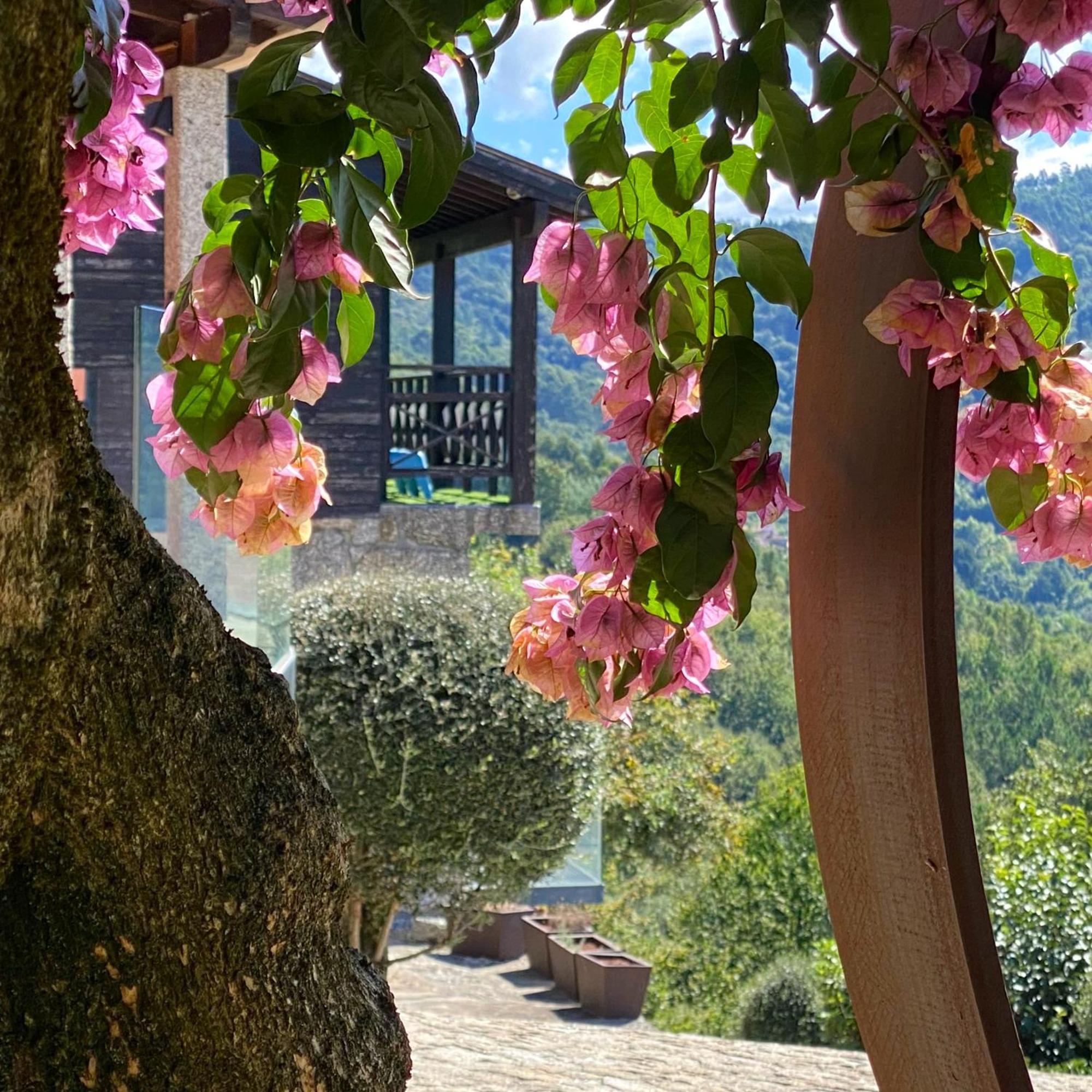 Vila Quinta Cercas Da Costa Vieira do Minho Exteriér fotografie